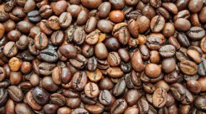 Masse kaffebønner i ulike nyanser.