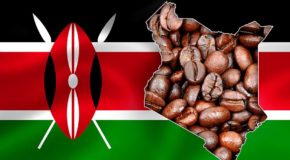 Kenyas flagg. Kaffebønner utgjør formen til landet.