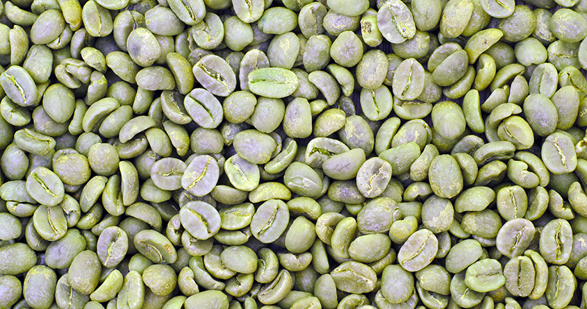 Nærbilde av masse grønne kaffebønner