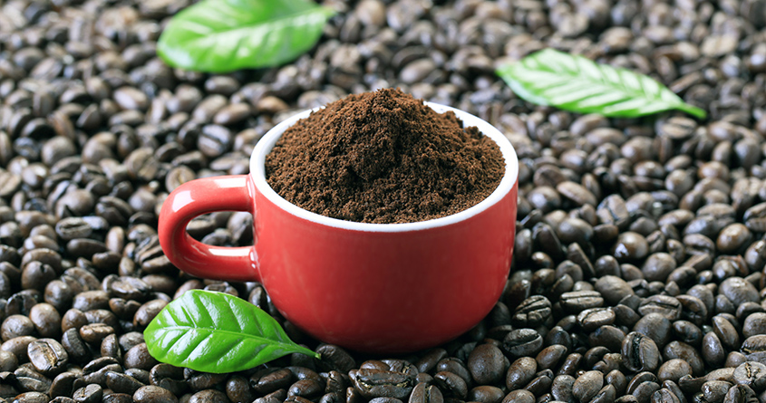 En kopp med malt kaffe står på en seng av kaffebønner.