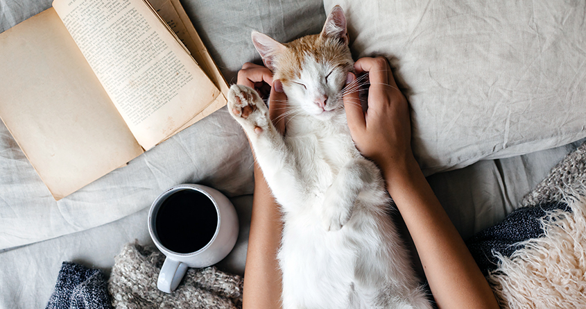 En kvinne sitter i sengen sammen med katten sin, og leser en bok og drikker kaffe.