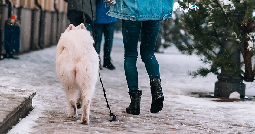 En kvinne går tur med hunden sin på en islagt gate.