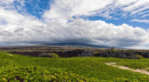 Et landskapsbilde av Kona-distriktet på Hawaii