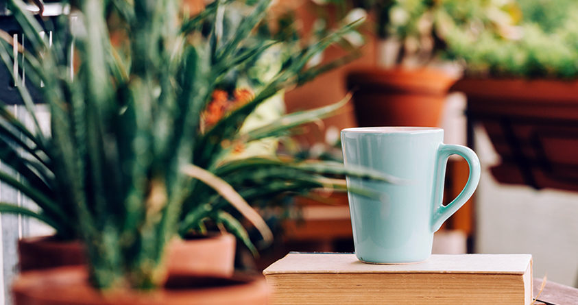 En kaffekopp står på en arbeidsbenk ved siden av mange potteplanter