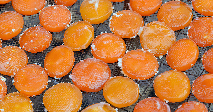Mange saltede eggeplommer ligger til tørk på en rist