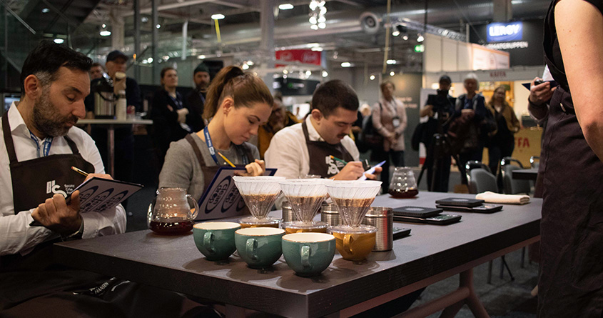 Tre dommere sitter og vurderer ulik kaffe på NM i Kaffekunst