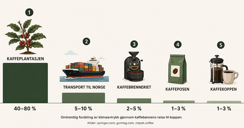 Illustrasjon av hvor kaffens klimaavtrykk oppstår